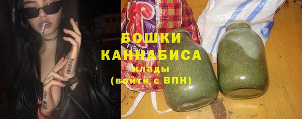 сатива Аркадак